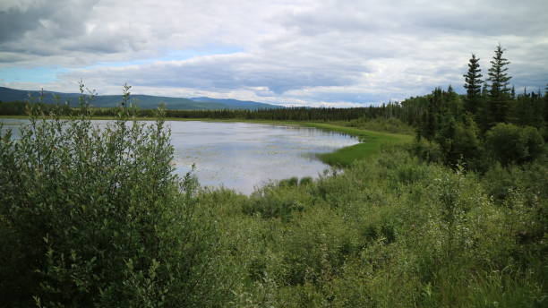 istock Gravel Lake in Yukon 1011645462