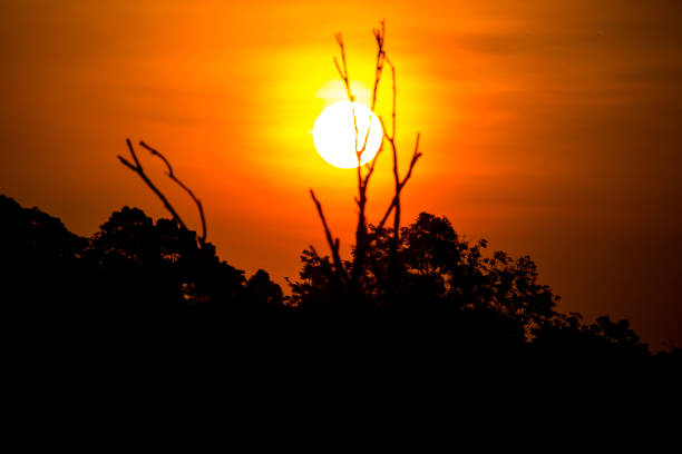 istock Khao Yai National Park, Thailand. 1011651322