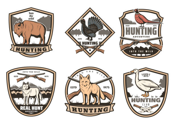Vector icons for hunting club open season Hunter club or hunting open season badge icons. Vector set of shields with buffalo, wild wolf or fox and crossed rifle guns, duck and pheasant birds with hunter knife for outdoor adventure grouse stock illustrations