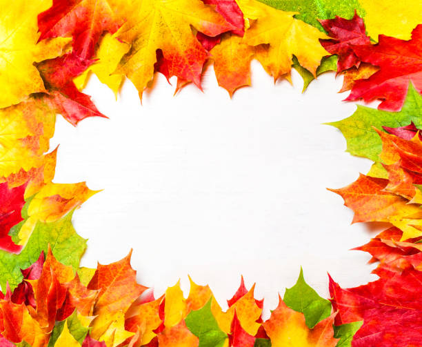 istock Autumn frame composition with autumn leaves on white background with Copy space.  Flat lay, top view