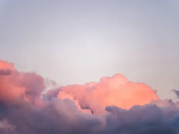 Photo of Gorgeous close up view of fluffy cumulus clouds with pink and purple hues resembling delicious mouthwatering cotton candy.