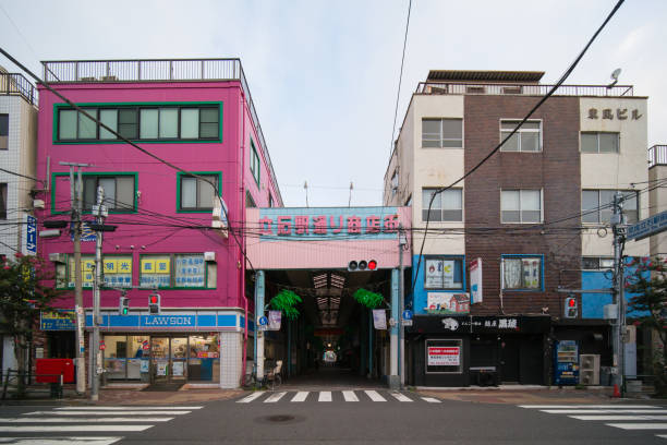 istock Tateishi, Japan Tokyo 1011661884
