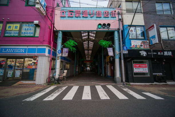 istock Tateishi, Japan Tokyo 1011662570