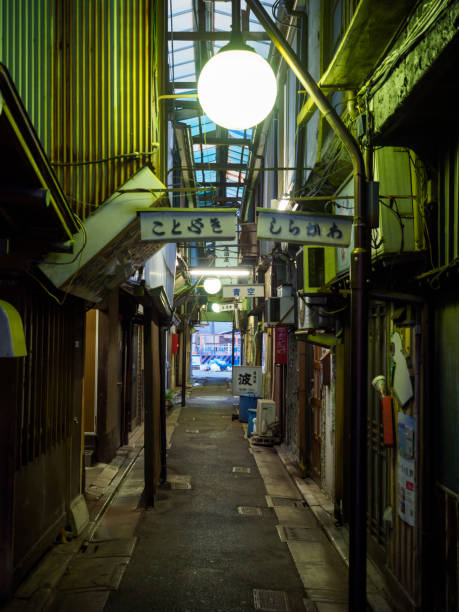 istock Tateishi, Japan Tokyo 1011664500