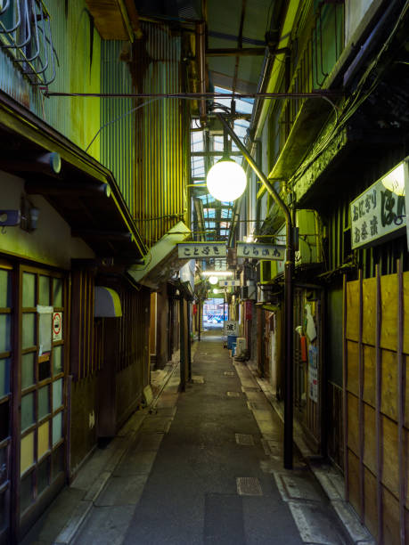 istock Tateishi, Japan Tokyo 1011664506