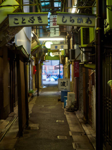 istock Tateishi, Japan Tokyo 1011664508