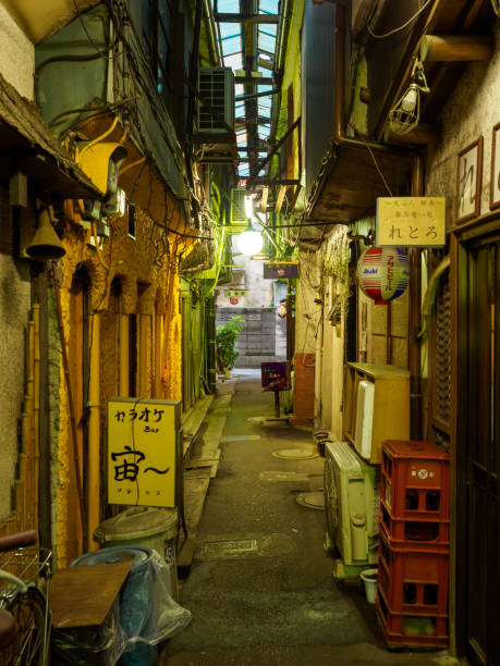 istock Tateishi, Japan Tokyo 1011664532