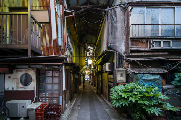 istock Tateishi, Japan Tokyo 1011664686