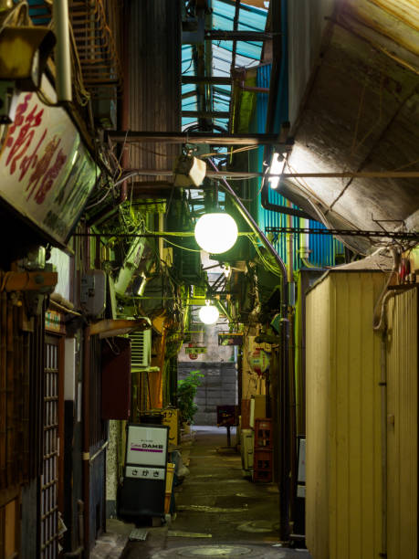 istock Tateishi, Japan Tokyo 1011664986