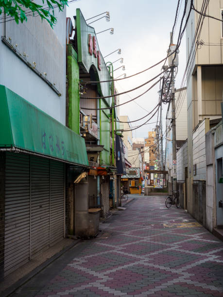istock Tateishi, Japan Tokyo 1011665072