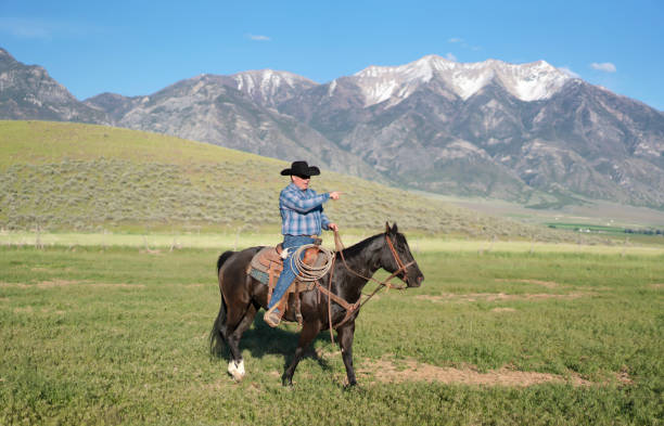istock Cowboy and horse 1011665078