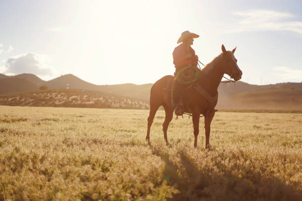istock Cowboys Horseback Riding 1011665144