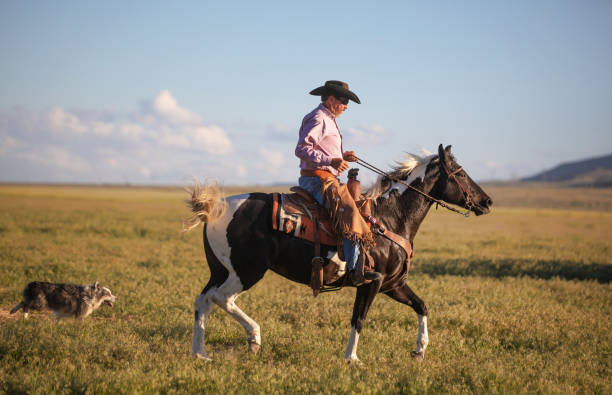 istock Cowboy Horseback Riding with his dog 1011667560