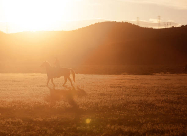 istock Cowboys Horseback Riding 1011667638