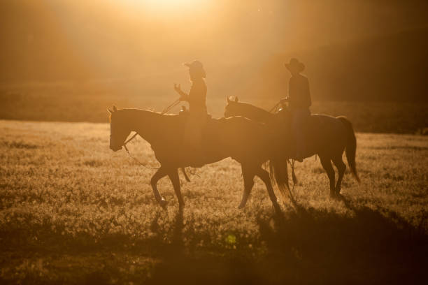 4. Canalitzacions escrites. 30/03/2025 13 vaquera y vaquero en la gama de la granja - dos personas cavalcando al trote un caballo negro salvaje fotografías e imágenes de stock