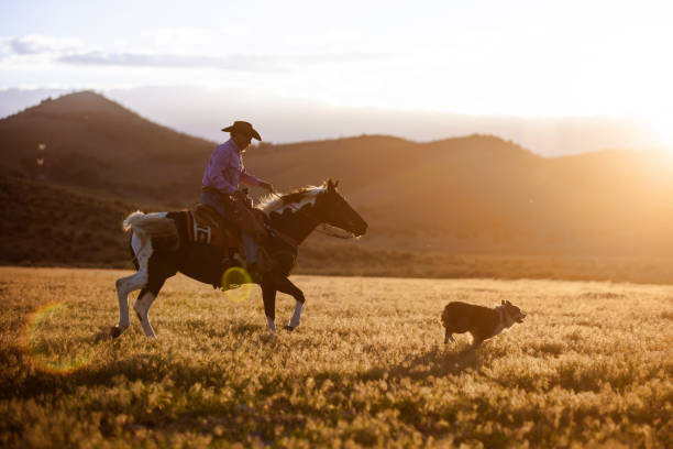 istock Cowboy Horseback Riding with his dog 1011667872