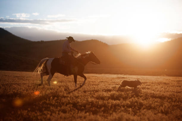 cowboy à cheval avec son chien - western culture flash photos et images de collection