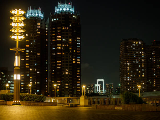 istock Center Promenade, Tokyo Japan 1011667940