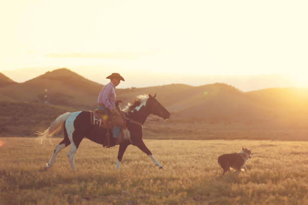 istock Cowboy Horseback Riding with his dog 1011667946