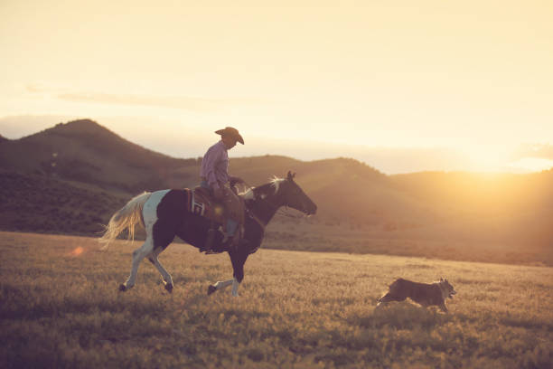 istock Cowboy Horseback Riding with his dog 1011667948