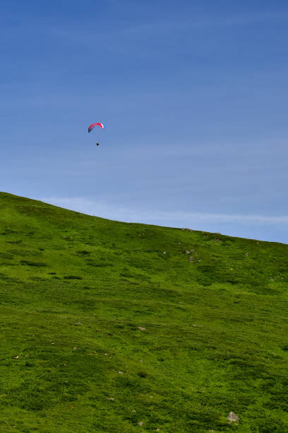 Talkeetna Mountain paragliding The Talkeetna Mountains offer popular paragliding locations in South Central Alaska. Besides offering stunning landscapes, the range is home to many large mammals including grizzly/brown bears, black bears, moose, caribou, wolves, wolverines and Dall sheep. talkeetna mountains stock pictures, royalty-free photos & images