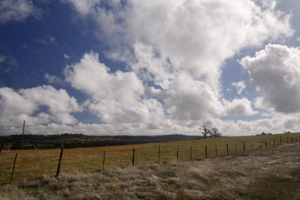 istock Green field and fence 1011709128