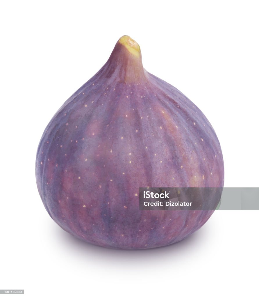 Ripe Whole Fig Isolated On A White Stock Photo - Download Image Now - Fig,  Fig Tree, White Background - iStock