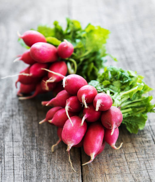 istock Fresh purple radish 1011717910