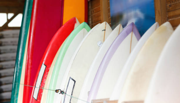 доски для серфинга и встать весло интернат в аренду в серф-клубе - skimboard стоковые фото и изображения