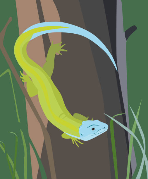 istock Green and blue lizards sitting on a tree. Illustration on nature. Green grass. 1011742990