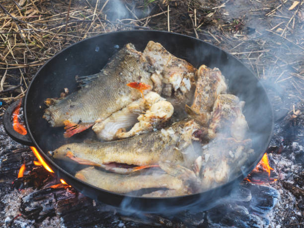 istock Fresh river fish fried on a fire on a cast iron pan in nature 1011747038