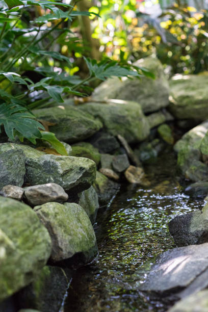 istock small creek with water and big rocks 1011748026