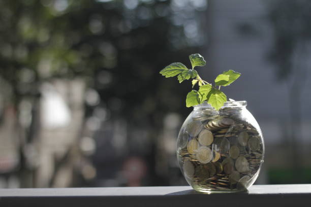 istock Plant growing from money jar 1011750538