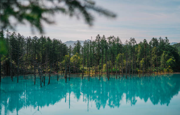 istock Beauty of earth 1011781402