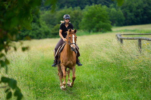 female rider galloping over green meadow on beautiful sorrel colored horse