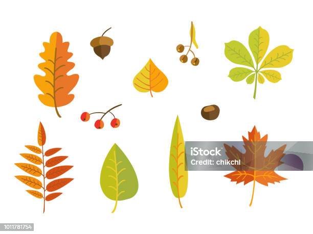 Autumn Leaves Stock Illustration - Download Image Now - Autumn, Falling, Leaf