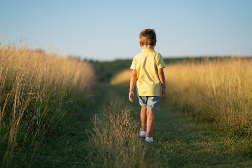 4 year old boy walking lonesome on grass path lonely lost childhood theme rear view