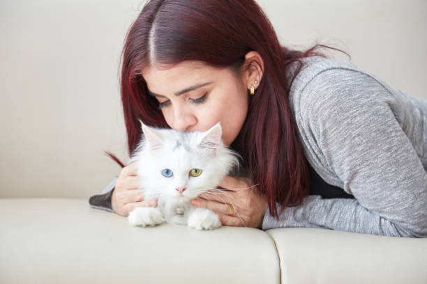 istock Woman with cute cat 1011789082