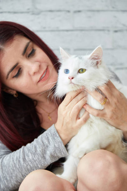 istock Joyful woman with white cat 1011789100