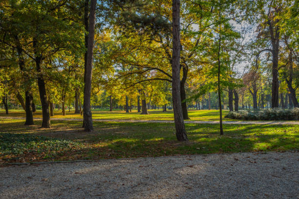 istock a park in Budapest, Hungary 1011789702