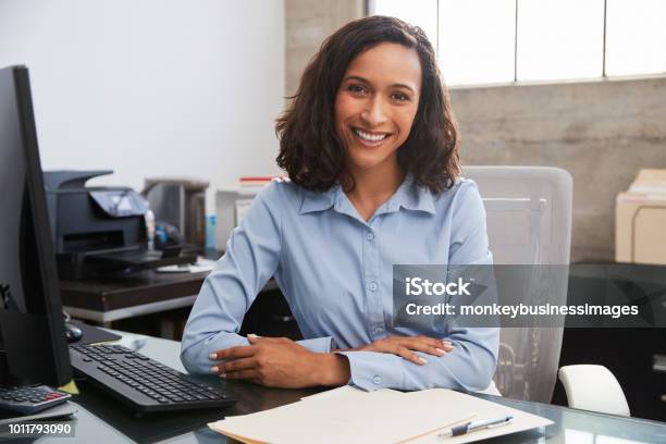 Junge Weibliche Professionelle Rezeption Lächelnd Zu Kamera Stockfoto und mehr Bilder von Frauen