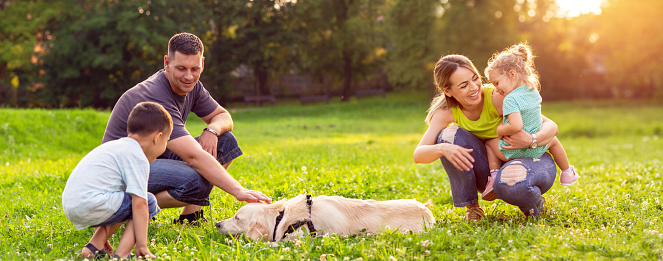 happy family is having fun with golden retriever - Happy family playing with dog in parkhappy young couple with their children have fun at beautiful park outdoor in nature
