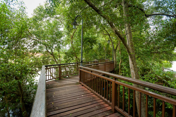 istock Walkway path Melaka city Malaysia 1011810022