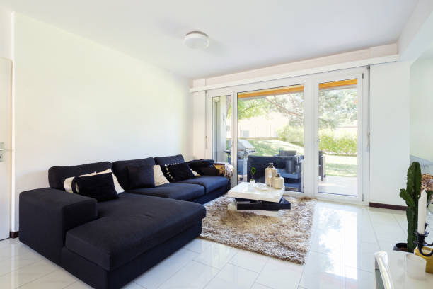istock Modern living room with large dark sofa 1011810476