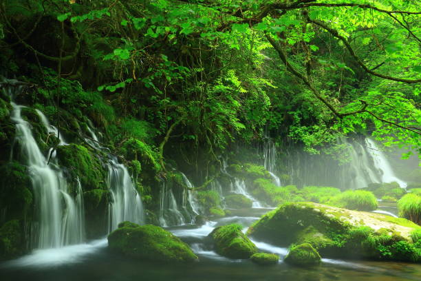 istock Summer mototaki  falls underwater water 1011813364