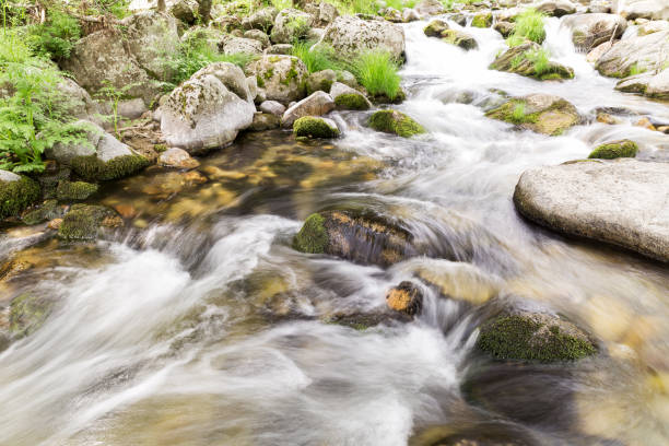 istock water running down one river rapids with stones 1011813522