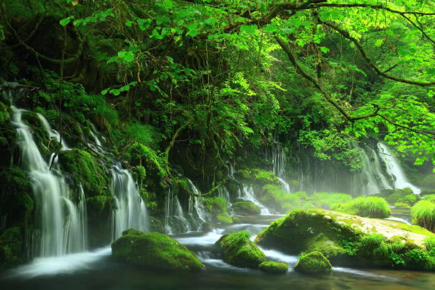 istock Summer mototaki  falls underwater water 1011820084