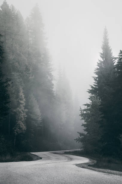 Photo of Foggy mountain road