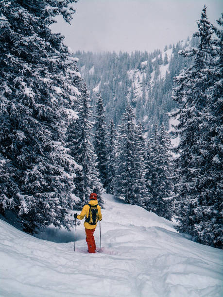 istock Off piste skier posing at treeline 1011838558