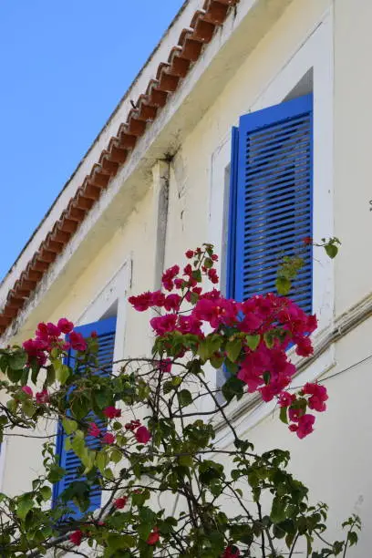 Flowers under the window of this charming house in Poros, Greece.